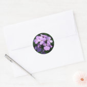 Sticker Fleur sauvage Lavendar (Enveloppe)