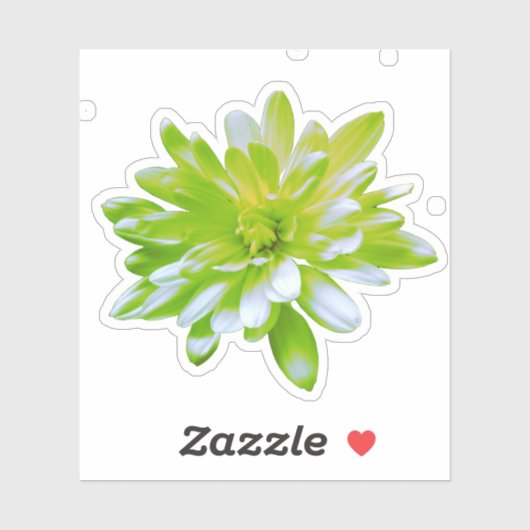 Sticker Fleur vert vert vert vert pâle marguerite (Feuille)