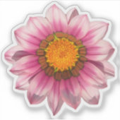 Sticker Fleuron rose Gazania (Devant)