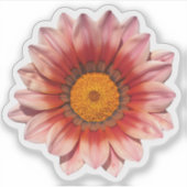 Sticker Fleuron rouge Gazania Treasure (Devant)