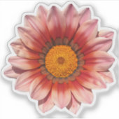 Sticker Fleuron rouge Gazania Treasure (Devant)