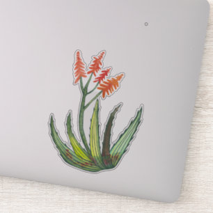 Sticker Fleurs colorées de Succulent de Vera d'aloès