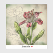 Sticker Fleurs d'Alstroemeria (Feuille)