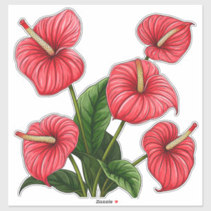 Sticker Fleurs d'anthurium rouges avec des feuilles vertes