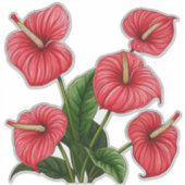 Sticker Fleurs d'anthurium rouges avec des feuilles vertes (Devant)