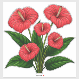 Sticker Fleurs d'anthurium rouges avec des feuilles vertes