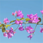 Sticker Fleurs de bougainvillée (Recto)