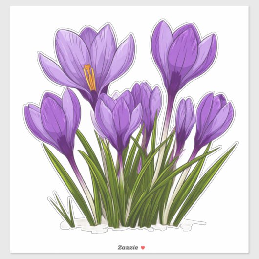 Sticker Fleurs de Crocus Violet Vibrant en Fleur Jardin (Feuille)