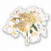 Sticker Fleurs de lait \ Juin Fleur de naissance (Recto)