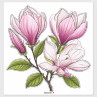 Fleurs de magnolia roses délicates sur une branche