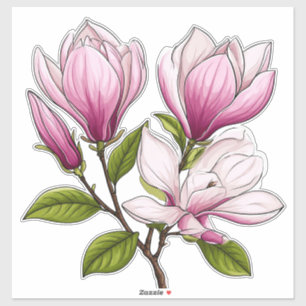 Sticker Fleurs de magnolia roses délicates sur une branche