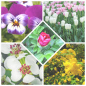 Sticker Fleurs de printemps (Recto)