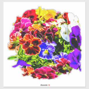 Sticker Fleurs de sansy colorées