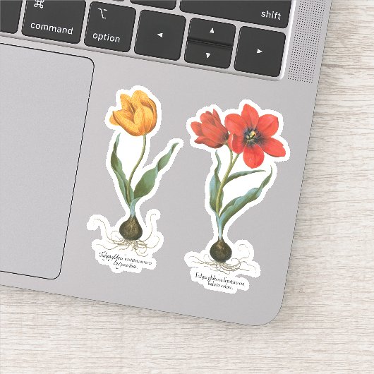 Sticker Fleurs de tulipe printanière vintages par Basilius (Détail)