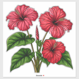 Sticker Fleurs d'Hibiscus Rouge Vibrant Avec Feuillage Ver