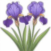 Sticker Fleurs d'Iris Violet Vibrant Avec des Feuilles Ver (Devant)