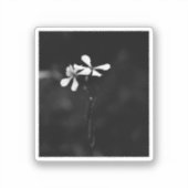 Sticker floral noir et blanc minimal (Recto)