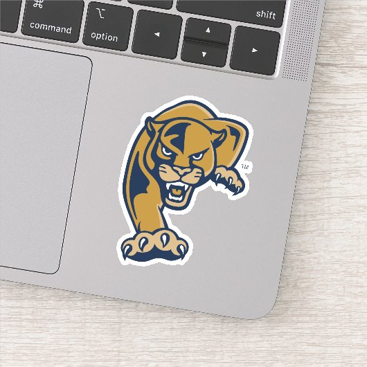 Sticker Florida International University Panthers (Détail)