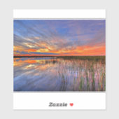 Sticker Floride Everglades (Feuille)