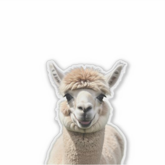 Sticker Fluff & Friendship (Devant)