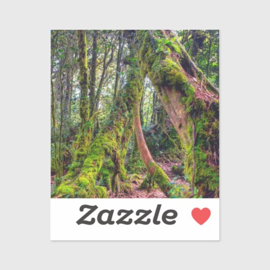 Sticker Forêt moussue (Feuille)