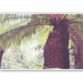 Sticker Forêt pluviale de fougères (Devant)