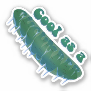 Sticker Frais comme un concombre