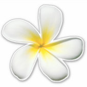 Sticker Frangipani Blossom (Devant)