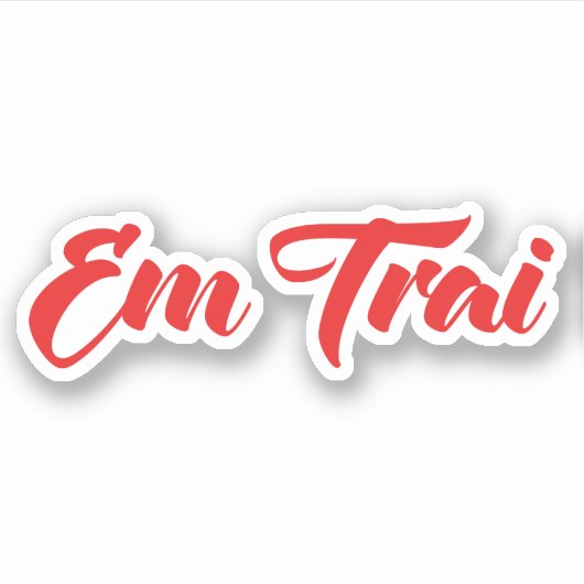 Sticker Frère Vietnamien (Jeune) - Em Trai ~ Tiêt Viêt (Devant)
