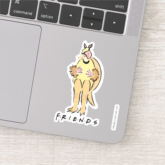 Sticker FRIENDS™ | Tatou de fête (Détail)