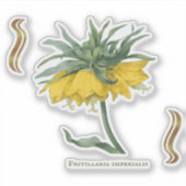 Sticker Fritillaria imperialis (Devant)