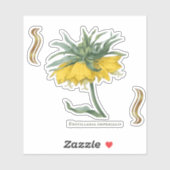 Sticker Fritillaria imperialis (Feuille)