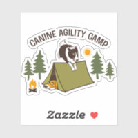 Frontière Collie Canine Agilité Camp Chien amusant