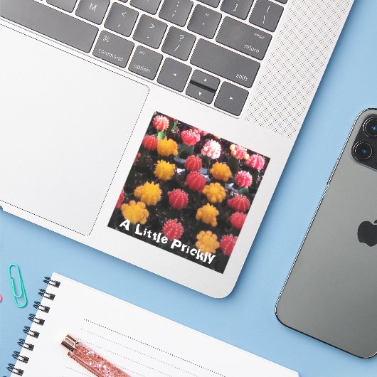 Sticker Fruit Cactus (Ordinateur portable avec iPhone)