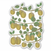 Sticker Fruit de kiwi (Devant)