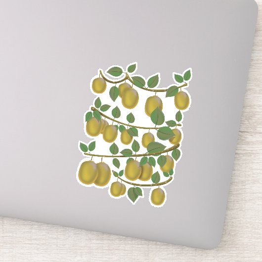 Sticker Fruit de kiwi (Détail)