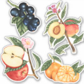 Sticker Fruits mignons (Devant)