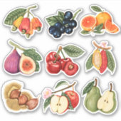 Sticker Fruits mignons (Devant)
