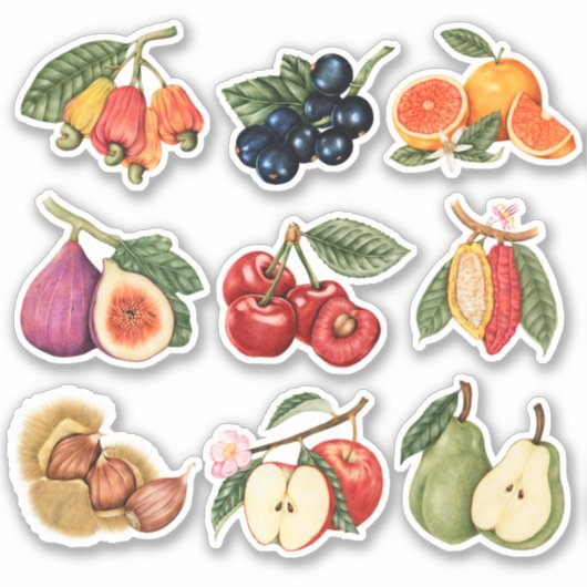 Sticker Fruits mignons (Devant)