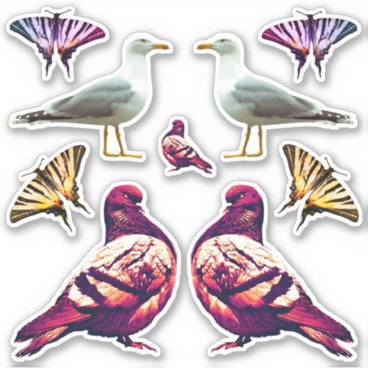 Sticker Funny Cute Cool Pigeon Bird & Butterfly Photo (Devant)