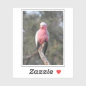 Sticker Galah (Feuille)
