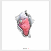 Sticker Galah Parrot Vinyl Decal – Pink & Grey Bird Sticke (Feuille)