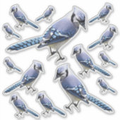 Sticker Geai bleu (Devant)