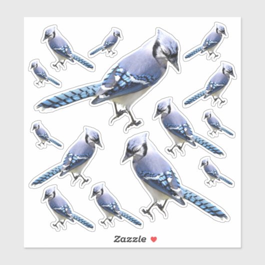 Sticker Geai bleu (Feuille)