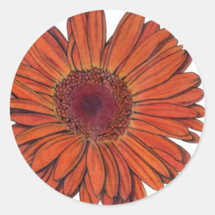 Sticker Gerbera