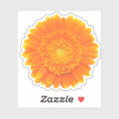 Sticker gerbera marguerite orange (Feuille)