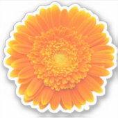 Sticker gerbera marguerite orange (Devant)