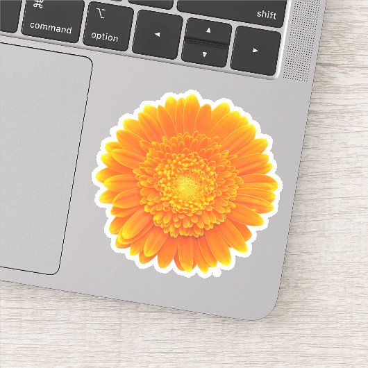 Sticker gerbera marguerite orange (Détail)