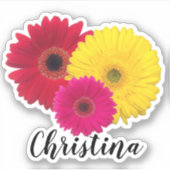 Sticker Gerbera rouge rose jaune avec nom | (Devant)