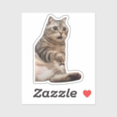 Sticker geschokt door Cat meme (Vel)